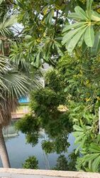 Sandy Island (D4), Detached #465485381